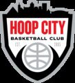 Hoop City Basketball